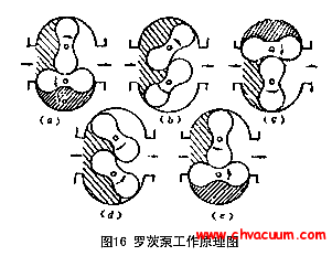 羅茨泵的工作原理圖