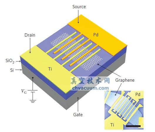 石墨烯光電感應設備的示意圖和實際樣品的掃描電子顯微鏡(SEM)照片