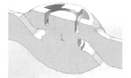調(diào)節(jié)閥流道三維模型圖